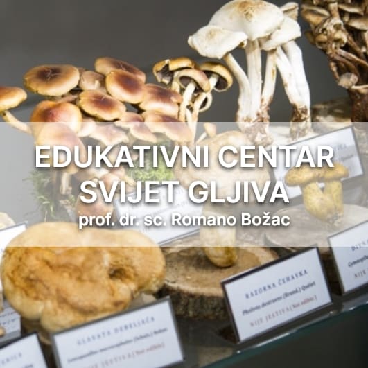 Muzej gljiva - Zagreb