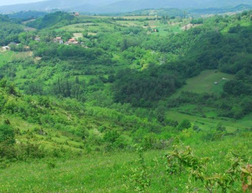 Javna rasprava o prijedlogu plana upravljanja područjima ekološke mreže Potok Dolje i Vejalnica i Krč te značajnim krajobrazom Goranec