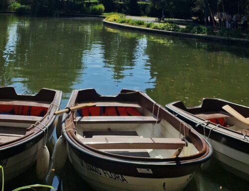 230 godina Parka Maksimir i povratak čamaca na Prvo jezero